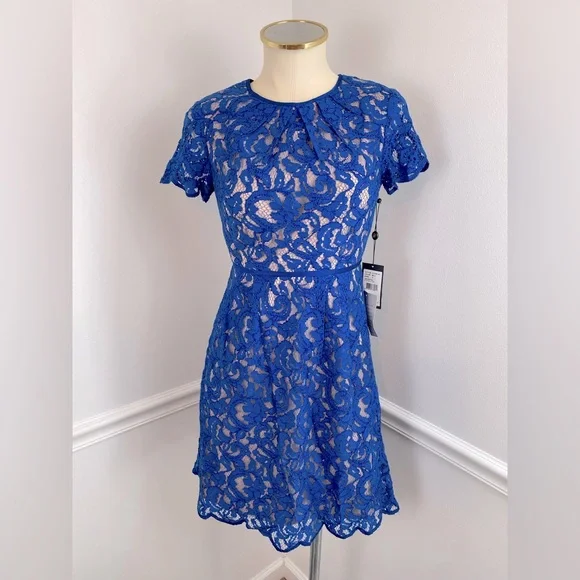 chinese dress ladies Adrianna Papell AP1E208935 Mikado With Lace Midi